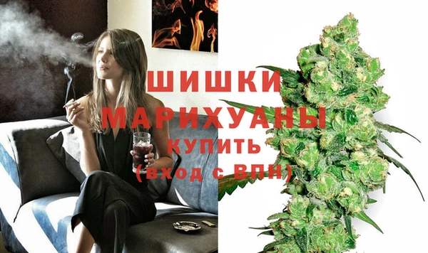 дживик Бородино