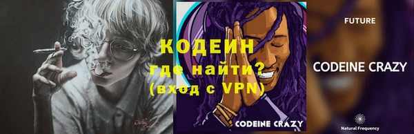 хмурый Белокуриха