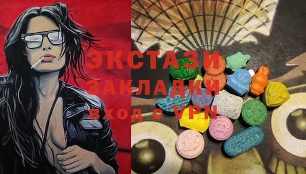 дживик Бородино
