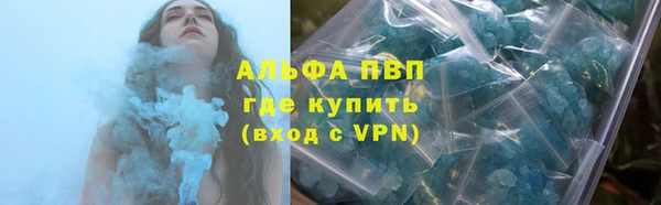 хмурый Белокуриха
