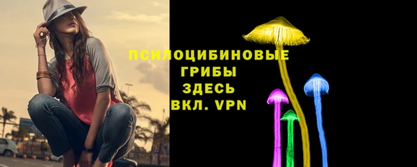 apvp Беломорск