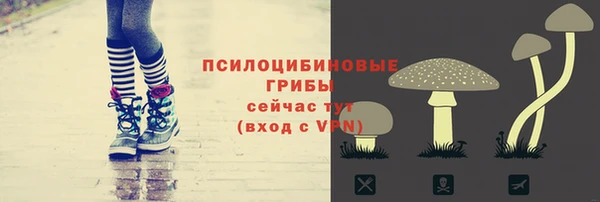 стаф Белоозёрский