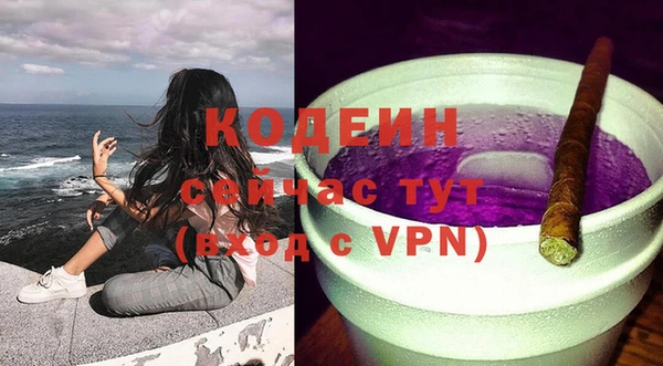 хмурый Белокуриха