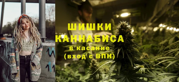 хмурый Белокуриха