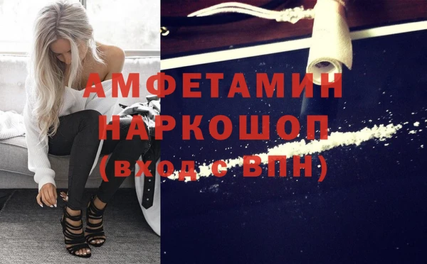 дживик Бородино