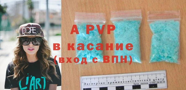хмурый Белокуриха