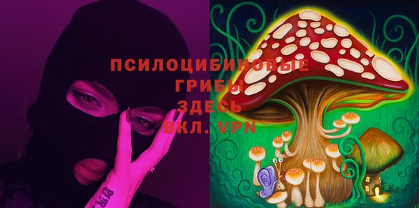 apvp Беломорск