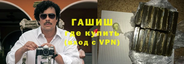 дживик Бородино